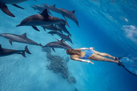 Dolphin House Hurghada